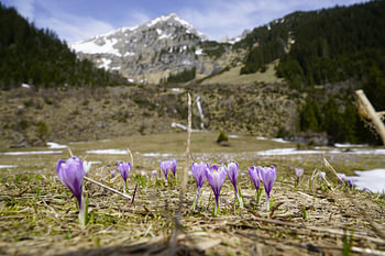 Der Vilsalpsee im Tannheimer Tal mit spiegelndem Wasser und alpiner Bergkulisse.