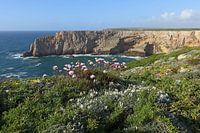 Costa Vicentina