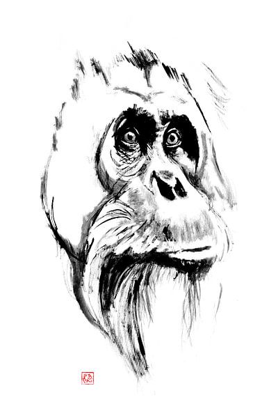 orang-oetan van Péchane Sumie