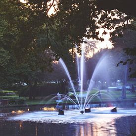 Een doorkijkje naar de fontein von Jaike Reinders