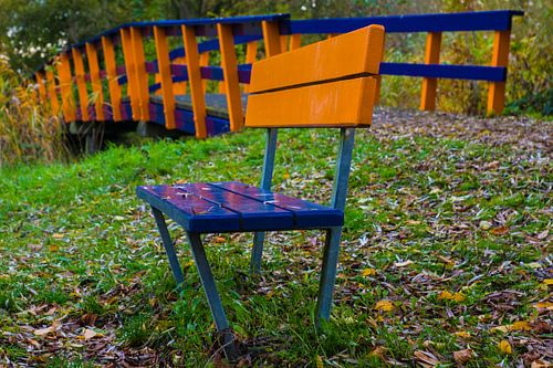 The colourful bench: peace in the heart of the forest