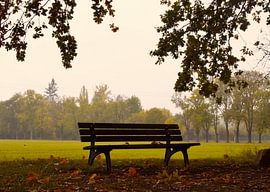 A bench on a park by Armanto Brouka