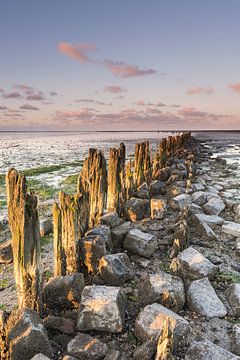 Portrait of a landscape of the Dutch Wadden Sea von Harry Kors