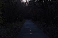 Road to Somewhere by Bram Jansen thumbnail