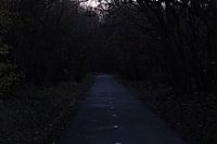 Road to Somewhere