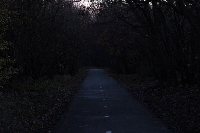 Road to Somewhere by Bram Jansen