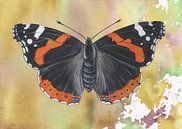 Atalanta (vlinder) van Jasper de Ruiter thumbnail
