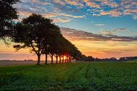 Coucher de soleil dans un polder néerlandais