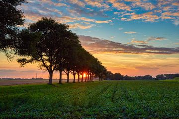 Sunset in the Dutch polder by eric van der eijk