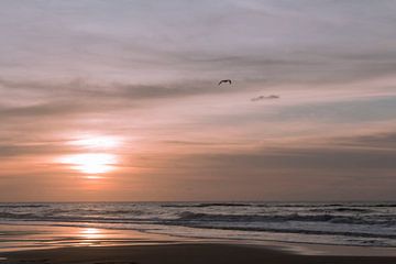 Zonsondergang aan de kust by D. Henriquez