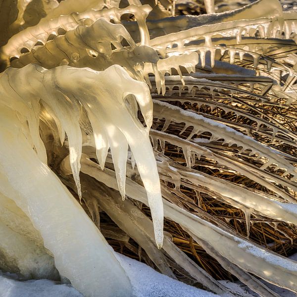 Sculpture de glace par Peter Bolman