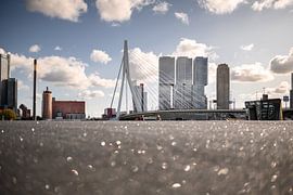 Glitter van Ilona van Dijk