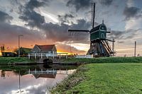 Golden sunset at the mill
