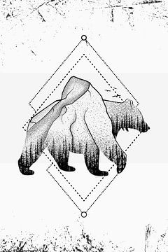Bär Braunbär Grizzlybär Wald von Felix Brönnimann
