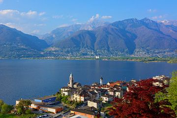 An Evening in Spring  with view of the Lago Maggiore by Gisela Scheffbuch