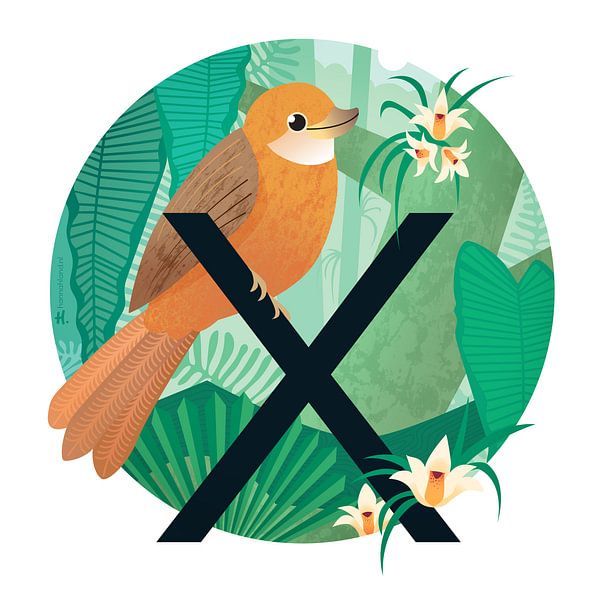 De Xenops en xylobium van Hannah Barrow