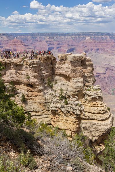 Uitkijkpunt Grand Canyon van Hilda Weges