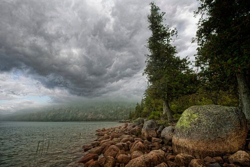 Arcadia N.P, Amerika