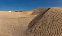 Dunes de sable, mini-désert, Dunas de Maspalomas, Maspalomas, Gran Canaria, Espagne par Rene van der Meer Aperçu