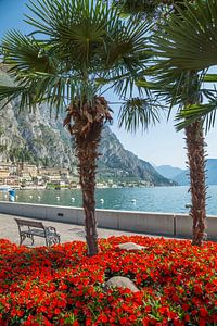 GARDASEE Prachtige promenade langs het meer in Limone sul Garda 