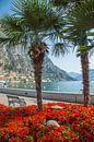 GARDASEE Prächtige Uferpromenade in Limone sul Garda  von Melanie Viola Miniaturansicht