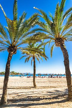 Prachtige kust van Platja de Alcudia op het eiland Mallorca van Alex Winter