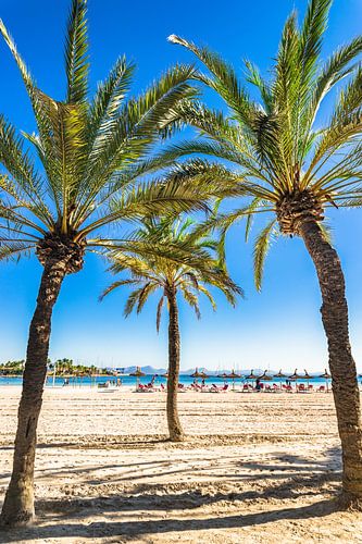 Prachtige kust van Platja de Alcudia op het eiland Mallorca