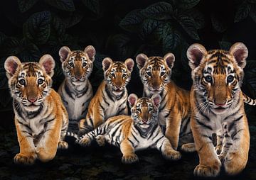 Tigerbabys von Bert Hooijer