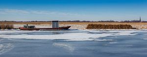 Paysage d'hiver