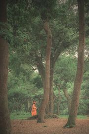The monk in the trees