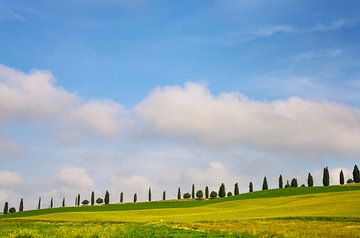 Cypressen in Toscane van Bo Scheeringa Photography