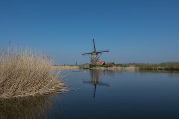 Beau moulin à vent à Kinderdijk avec un beau reflet dans l'eau.