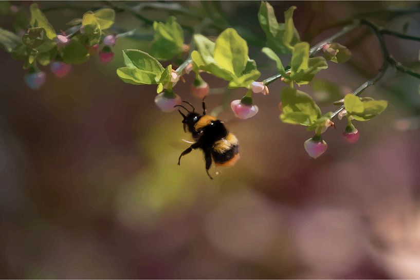 sich freuen von Kim van Beveren
