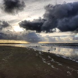 Stormy weather, Texel, Beach von Danielle Bosschaart