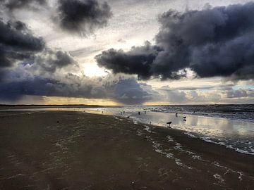 Stormy weather, Texel, Beach von Danielle Bosschaart
