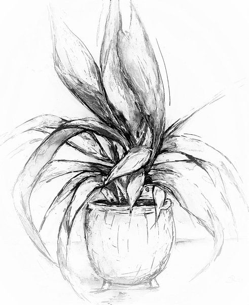 Flower pot with plant. (3) by Ineke de Rijk