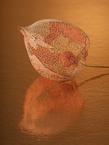 Autumn! A lantern reflects in the warm surface by Marjolijn van den Berg