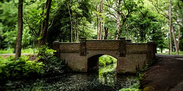 Photo de nature d'un parc néerlandais avec de vieux arbres, un pont et des fossés sur MICHEL WETTSTEIN