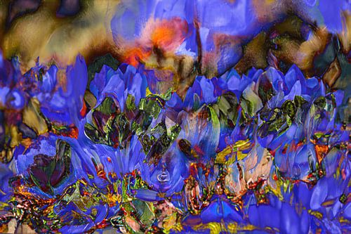 Danse des couleurs