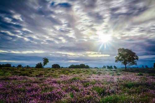 Sunstar by Richard Guijt Photography