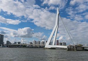 Erasmus-Brücke in Rotterdam