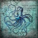 Octopus Onderwater Wereld van Andrea Haase thumbnail