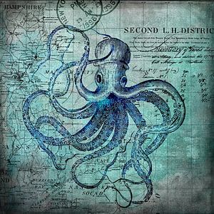 Octopus Underwater World by Andrea Haase