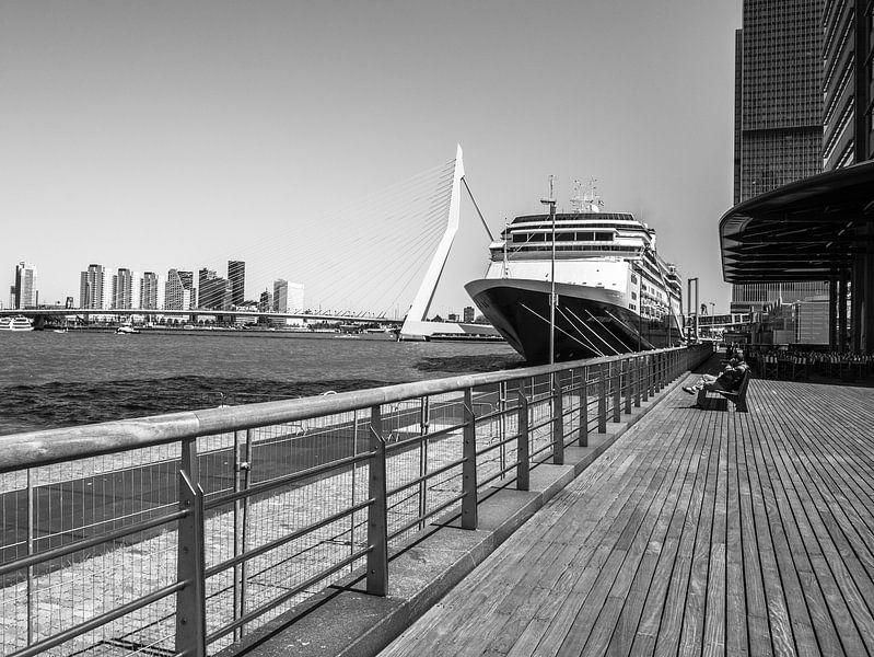Erasmus Bridge Rotterdam by Bianca  Hinnen