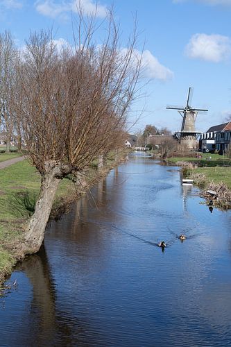 Bergambacht Nederland Molen Den Arend uit 1869