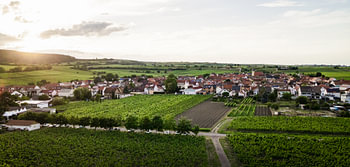 Panorama Ungstein (Bad Dürkheim an der Weinstraße)