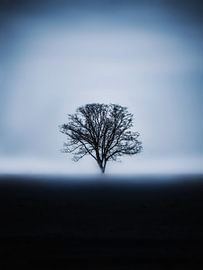The blue tree by Maria Almyra