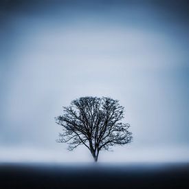 De blauwe boom van Maria Almyra
