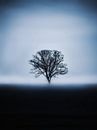 De blauwe boom van Maria Almyra thumbnail