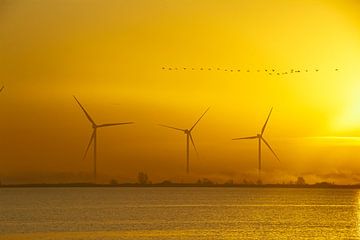 Wind turbines during sunrise by Brenda bonte